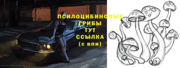 гидра Алзамай
