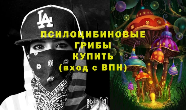 PSILOCYBIN Алексеевка