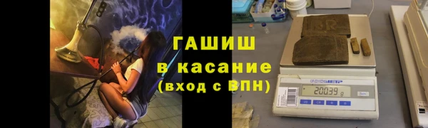 гидра Алзамай
