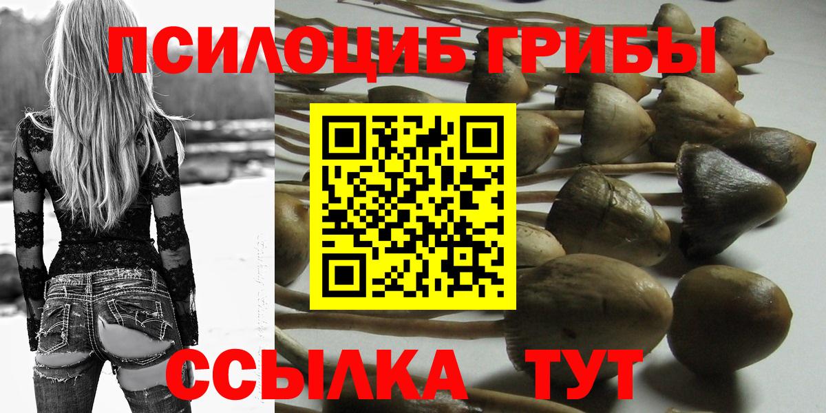 Галлюциногенные грибы Cubensis Кольчугино