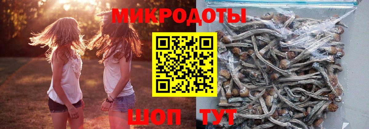 Псилоцибиновые грибы Psilocybine cubensis  Галлюциногенные грибы мухоморы  Кольчугино  наркота  Вход с VPN 